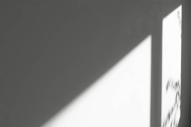 Beautiful shadow from the window on the gray concrete wall. Mockup, template for design with silhouette and sunlight, abstract background