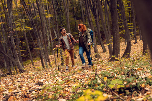 istock Young couple with backpack hiking in forest. 1361690261