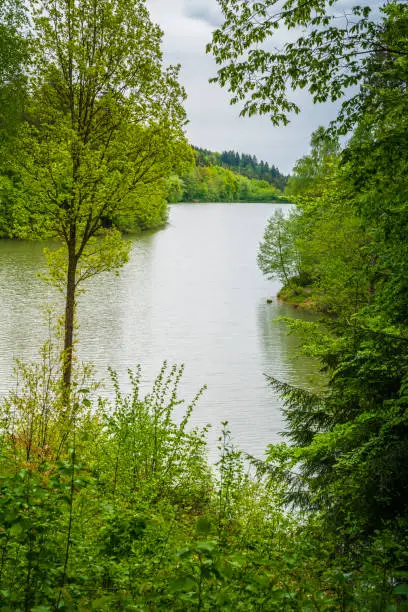 Germany, Lake water of Herrenbachstausee barrier lake in green forest nature landscape near adelberg goeppingen