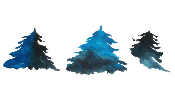 istock Spruce or evergreen tree aquarelle set isolated on white background. Watercolor hand painting Illustration of blue coniferous or fir. 1361694332