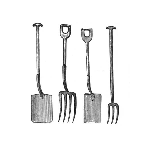Garden tools - Antique engraved illustration from Brockhaus Konversations-Lexikon Garden tools - Antique engraved illustration from Brockhaus Konversations-Lexikon antique pitchfork stock illustrations