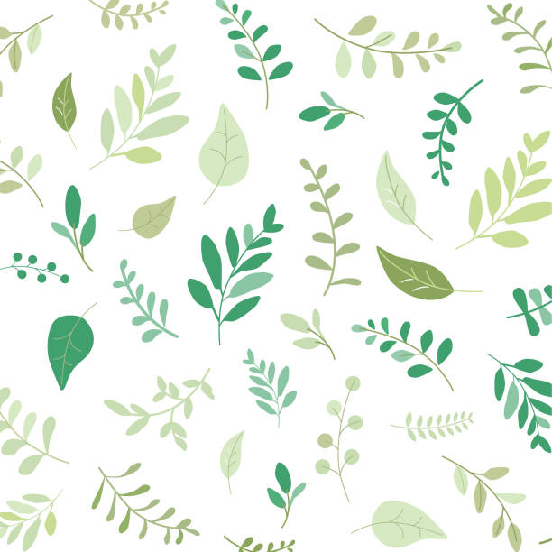 ilustraciones, imágenes clip art, dibujos animados e iconos de stock de patrón de vegetación hoja planta bosque hierbas hojas tropicales - japanese maple maple tree leaf backgrounds