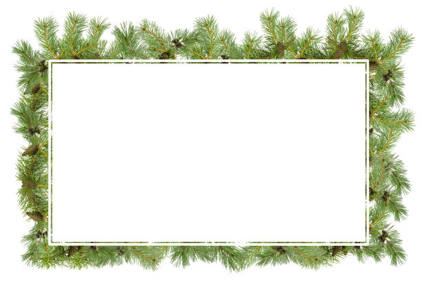 istock A frame of pine branches with small cones on a white background. 1361697146