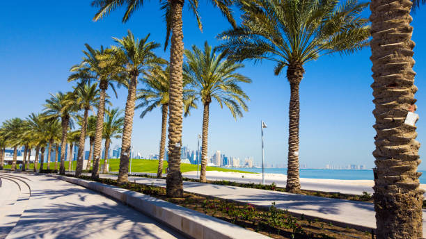 doha, katar - moderne wolkenkratzer im geschäftsviertel mit palmen an der corniche - museum of islamic art doha stock-fotos und bilder