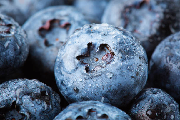 istock Blueberries background, food macro photography 1361700406