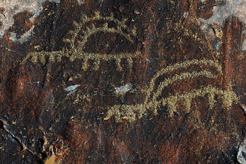 Hunting scene on ancient petroglyphs of the Tambvly tract in southeastern Kazakhstan
