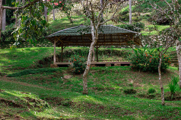 istock Green grass and trees in the park 1361701485