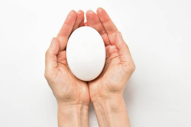 istock White soap in female hands. 1361703197