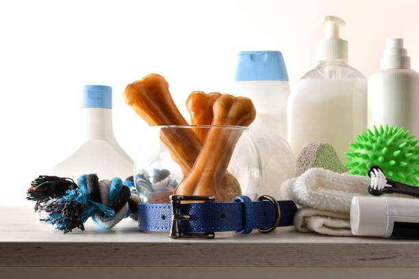 produits de bain pour chiens sur table en bois sur fond isolé - équipement pour animaux de compagnie photos et images de collection