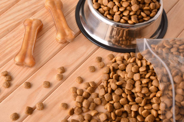 istock Dog croquettes in sacks and feeder on wooden table elevated 1361708614