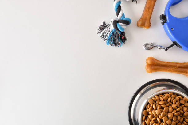 istock Food and accessories for the dog on white table top 1361708618