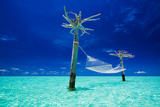 Empty over-water hammock in the middle of exotic tropical lagoon