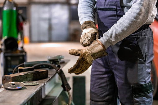 Cropped view of male worker putting on work gloves