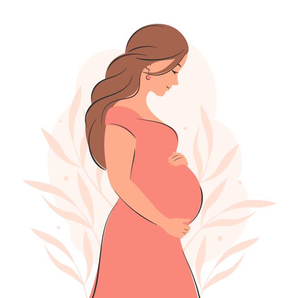 Pregnant woman 011 Pregnant woman, future mom, standing in nature and hugging belly with arms. Flat vector illustration. pregnant clipart stock illustrations