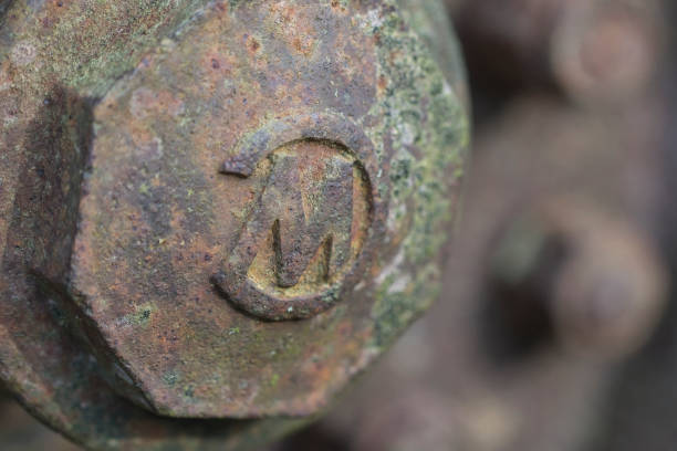 istock Cap nut of an old rim 1361729277