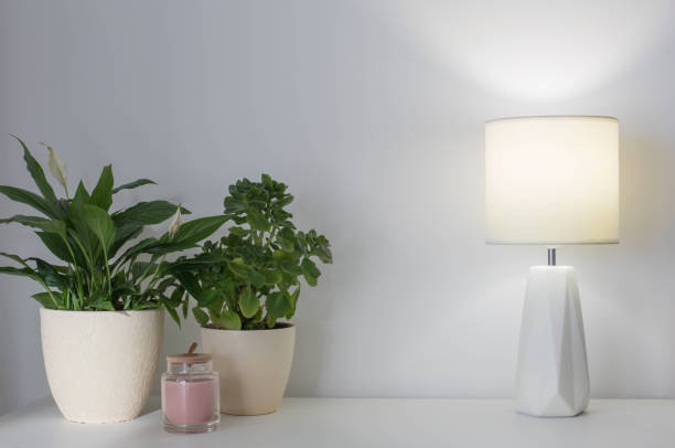 istock house plants and modern lamp on white shelf 1361729541