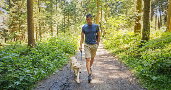 Mature man walking with his dog on the path in a forest.