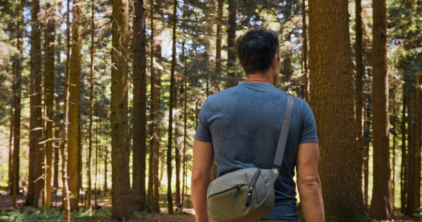 istock Mature man hiking in a forest 1361733320