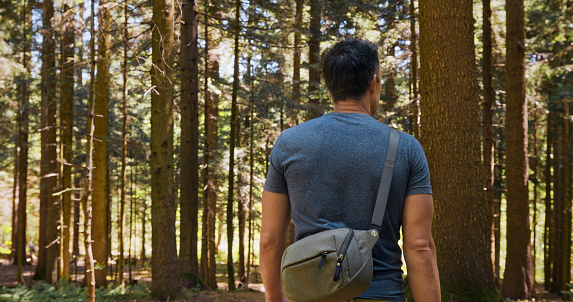 Rear view of a mature man with bag hiking through a forest.
