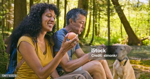 Couple Eating Lunch In The Forest With Their Dog Stock Photo - Download Image Now - Couple - Relationship, Hiking, Eating