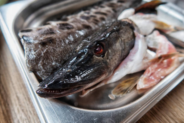 istock cooking fish soup in the home kitchen. 1361733416