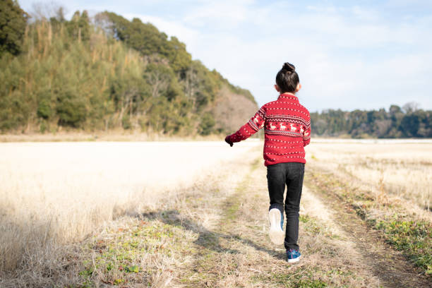 istock A child walking along a rice field in winter 1361735548