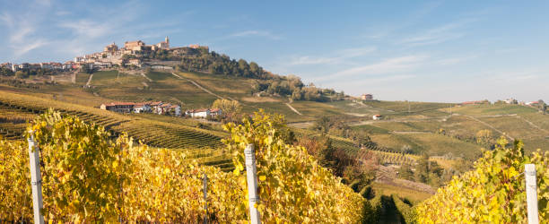 istock La Morra vineyard landscape, Piedmont, Italy 1361740943