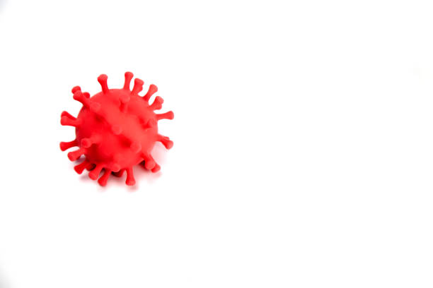 istock Virus, bacterium on white background, pandemic coronavirus outbreak background with copy space. Covid-19, medical health concept 1361740977