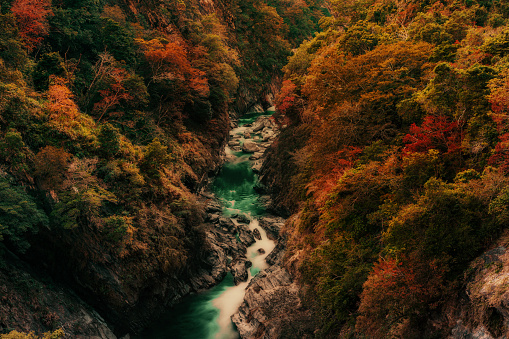 Stream and autumn leafs with marbles in Taroko gorge national park in Hualien, Taiwan