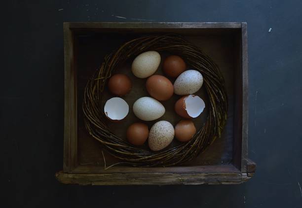 easter, old wood, natural decoration, egg shells, wicker wreath
