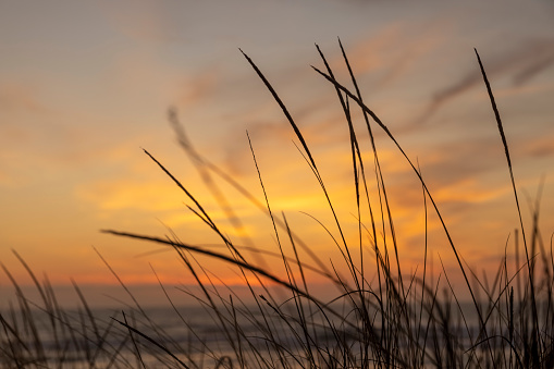 View of a dramatic sunset sky along the beach in Sardinia, Italy.