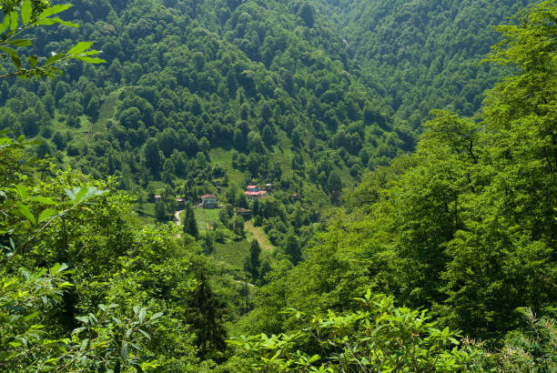 istock A village in Camlihemsin 1361748866