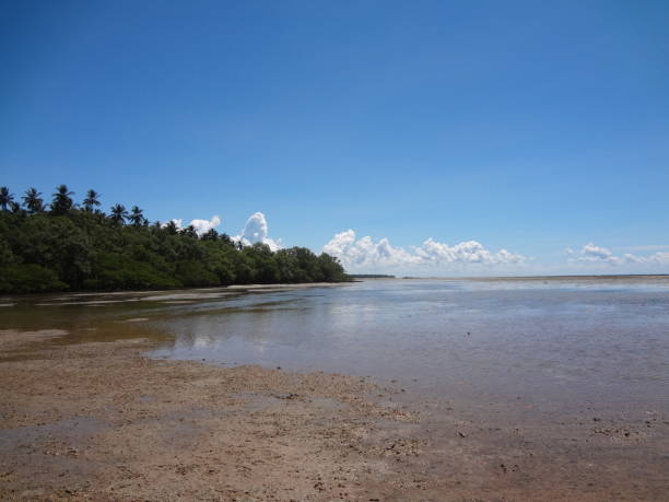 istock Beach view with no people 1361755415