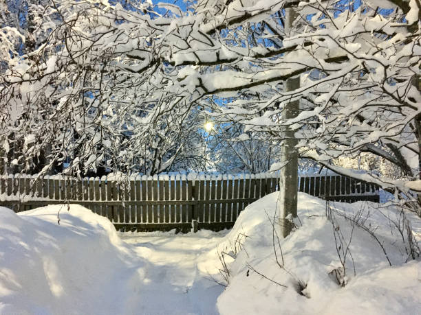 istock Snow Wonderland 3 1361757112