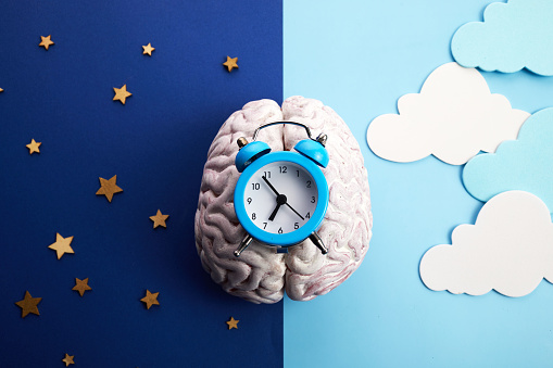 Los ritmos circadianos están controlados por relojes circadianos o reloj biológico photo