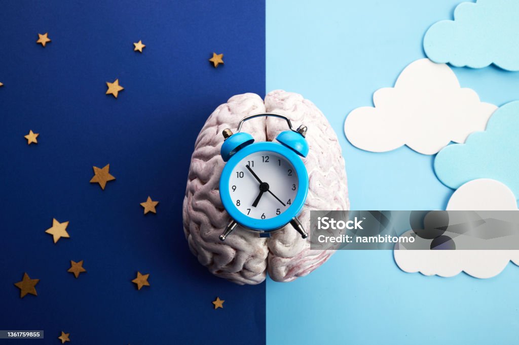 The circadian rhythms are controlled by circadian clocks or biological clock The circadian rhythms are controlled by circadian clocks or biological clock. Sleeping Stock Photo