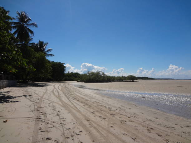 istock Beach view in tropical area 1361761030