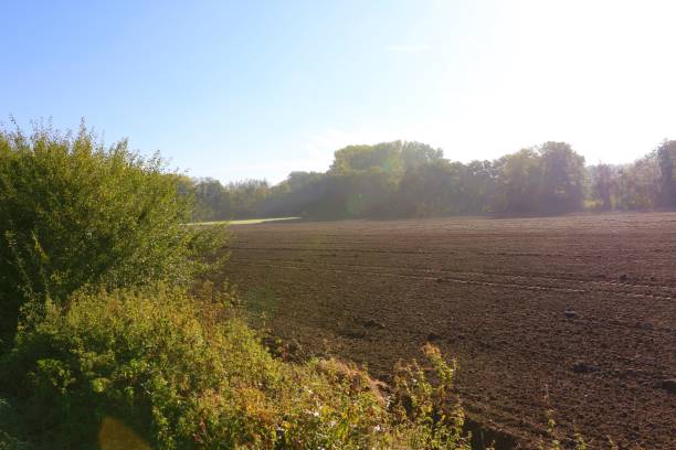 istock Sunny autumn day in Menden in the Sauerland 1361762112