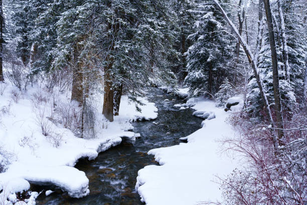 istock Snowy Winter Creek Landscape 1361762297