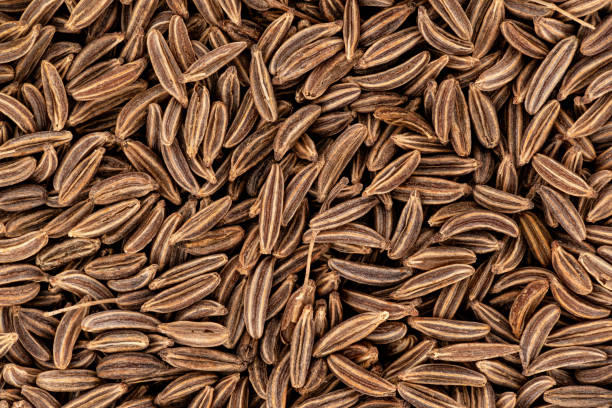 Closeup detail of caraway seeds meridian fennel - Carum carvi shot from above, image width 23mm Closeup detail of caraway seeds meridian fennel - Carum carvi shot from above, image width 23mm. carum carvi stock pictures, royalty-free photos & images
