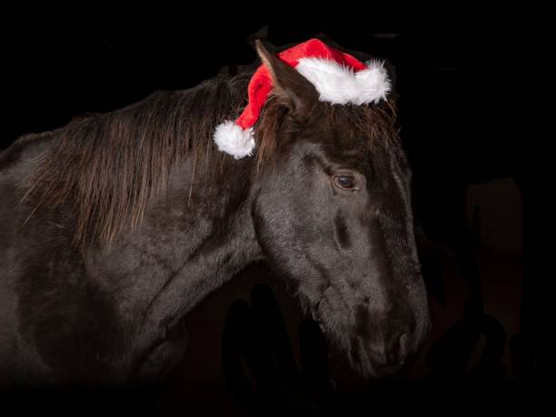 istock Santa Christmas Horse. 1361765588
