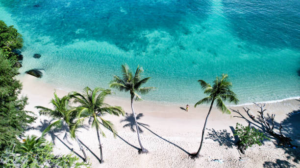 istock Aerial view Beach with palm tree in Phuket Thailand 1361770694