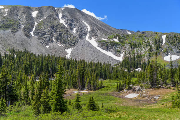 istock Spring Mountain - A bright sunny Spring day view of a rugged high mountain peak surrounded by evergreen forest, as seen from Pawnee Pass Trail in Indian Peaks Wilderness. 1361772344