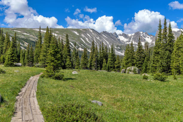 boardwalk mountain trail - a boardwalk section of long lake trail winding towards dense evergreen forest and rugged indian peaks in indian peaks wilderness. - long imagens e fotografias de stock