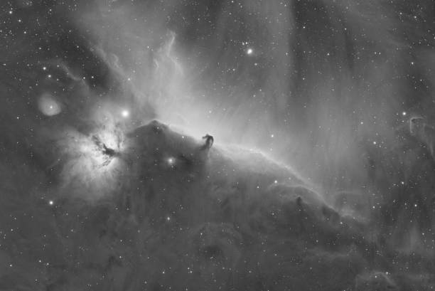 mgławica koński w gwiazdozbiorze oriona (filtr alfa wodoru, monochromatyczny) - horsehead nebula zdjęcia i obrazy z banku zdjęć