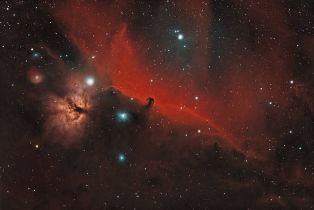 nébuleuse de la tête de cheval dans la constellation d’orion (palette de couleurs naturelles) - horsehead nebula photos et images de collection