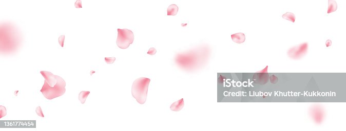 istock Flower petal flying background. Sakura spring blossom on long banner. Pink rose composition. Beauty Spa product frame. Valentine romantic card. Light delicate pastel design. Vector illustration 1361774454