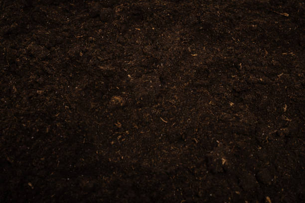 istock Woman hand trace on a ground. 1361775271