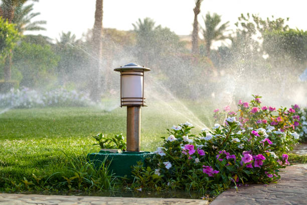 aspersor de plástico que riega la cama de flores en el césped de césped con agua en el jardín de verano. riego de vegetación verde excavando la estación seca para mantenerla fresca. - equipos de riego fotografías e imágenes de stock