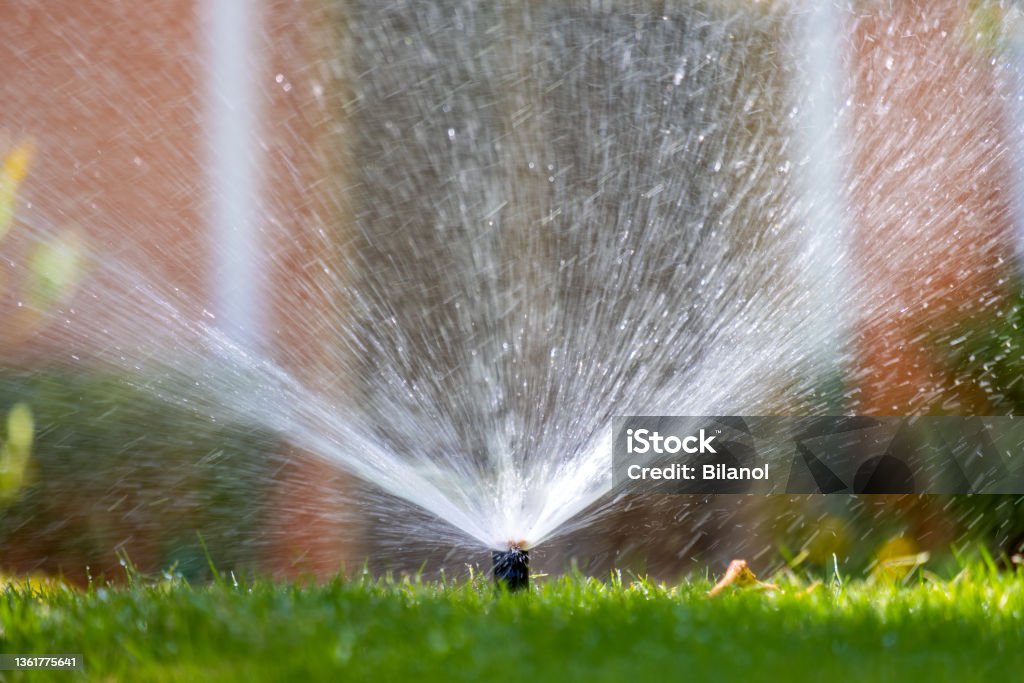 Plastic sprinkler irrigating grass lawn with water in summer garden. Watering green vegetation duging dry season for maintaining it fresh. Agricultural Sprinkler Stock Photo